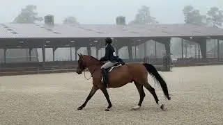 Gucci SVF derby 