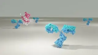 Sandwich ELISA assay explained