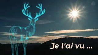 A la recherche du légendaire cerf blanc