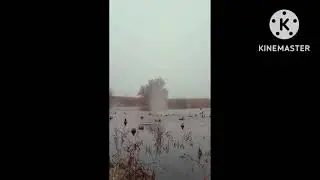 River swat Duck Hunting | Duck Shooting in Pakistan 2022 duck# hunting ......red #head #