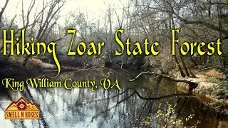 Hiking Zoar State Forest in King William County, Virginia