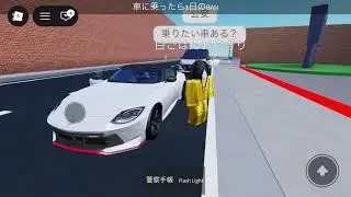 Roblox鉄道合広報部のマンゴーさんと動画を撮りました。