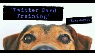 Twitter Card Training