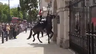 Royal Guard horse falls |Queen Guard  | London 2022 | UK