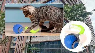 Rechargeable Interactive Cat Toy Ball &ndash; Smart Modes & OEM Custom for Indoor Cats