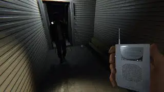 Phasmephobia Expert Guesses Correctly Based on Ghost Interaction