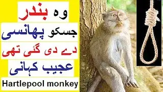 Story of Hartlepool Monkey - Strange History
