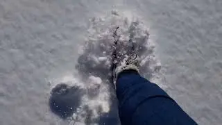 Snow walking on a sunny winter's day #asmr #snowasmr #snow #winterasmr