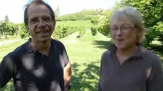 Pierre d'Heilly et Martine Huberdeau, pionniers du vin bio en Bourgogne