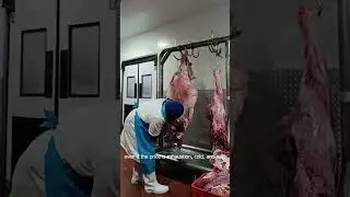 Challenging Work | Fore Quarter | Life of a Butcher