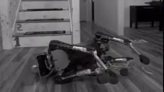 Robot Dog Slips On Banana Peel