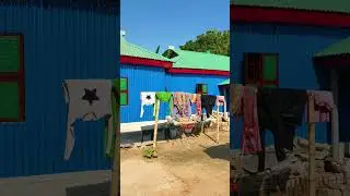 How are these tin houses built according to budget? #home #shortvideo #construction