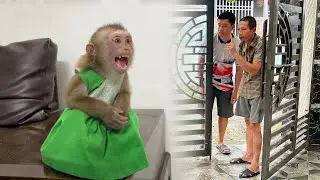 Monkey Tina cried and wanted to go with her father and uncle Tuan to save Monkey Xuka.