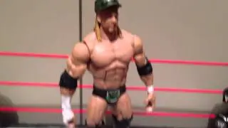 WWE ACTION INSIDER: Elite 7 Triple H DX HHH Hunter HBK Mattel series 