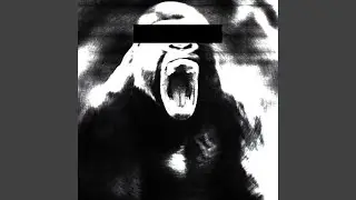 MAN VS GORILLA (Super Slowed)