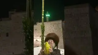 Мой муж Ребе произносит благославления на Лулав и Этрог большой на Стене плача