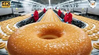 Inside The Factory That Makes 50,000 Donuts Daily - You Won't Believe This Process
