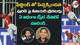Nicholas Pooran Fielding In IPL 2020  || Sachin Tendulkar Praise To Nicholas Pooran | TFC NEWS