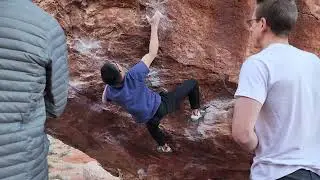 Classic Monkey-V6