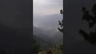 panja gali