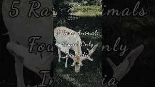 5 Rare Animals Found Only In India 😱 | #viralshort #trendingshorts