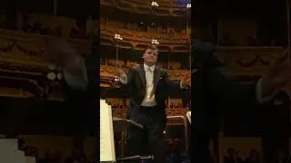 Riverside Rhythms, A Strauss-inspired Serenade By The Elbe #strauss #junior #short