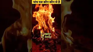 पांच यज्ञ कौन कौन से हैं | What Are The Five Yagyas