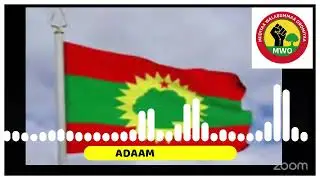 Haasaa Jaal Adam Bultum kabaja guyyaa WBO sababeeffachuudhaan 