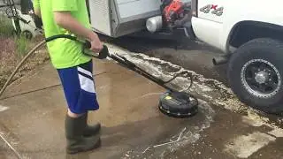 Concrete Driveway mold removal