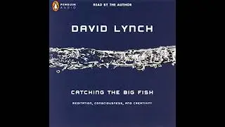 Catching the Big Fish: Meditation, Consciousness, and Creativity by David Lynch | Full Audiobook