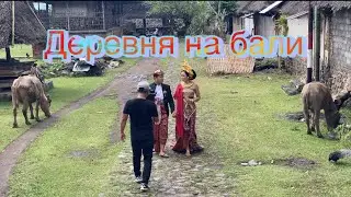 Desa bali aga - tenganan pegringsingan -Деревня На бали - Гид на Бали