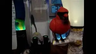 MOV00007