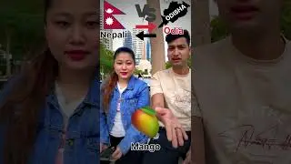 Nepali vs Odia | #odia #odiavlog #odiashorts #shorts #odiaviralshort #odiavideo #odiaviralvideos