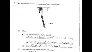 BIOLOGY PAPER 2 KCSE 2018 MARKING SCHEME