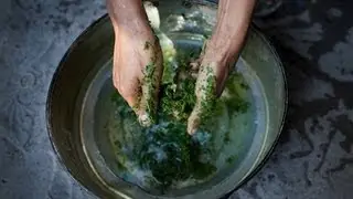 Thailand Legalizes Kratom - You'll Never Guess Who Uses It.