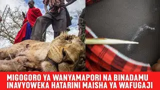 MAKALA; MIGOGORO YA WANYAMAPORI NA BINADAMU INAVYOWEKA HATARINI MAISHA YA WAFIGAJI