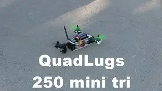 QuadLugs  250 Mini Tri