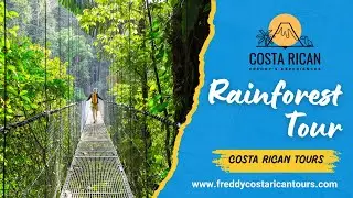 Rainforest Tour In Costa Rica - Costa Rican Experiences