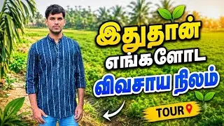 என் விவசாய நிலம் 🌾 | Real Village Farming Life | Tamil VlogMy Farming Lands 🌾 | Village