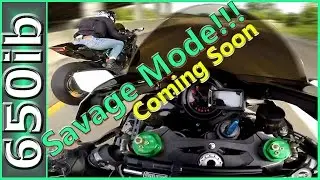 Ninja H2 vs Ninja H2 | MustangDame puts the SMACKDOWN!!!