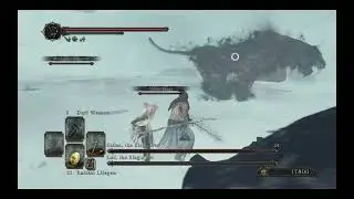 DARK SOULS&trade; II  Scholar of the First Sin - Lud, the King's Pet and Zallen, the King's Pet