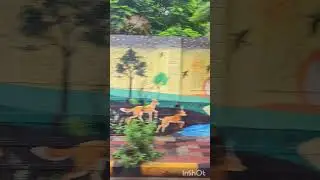 Hyderabad City....wall paintings....