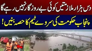 Punjab Govt Survey Team Hiring | Flood Survey In Punjab | City 41