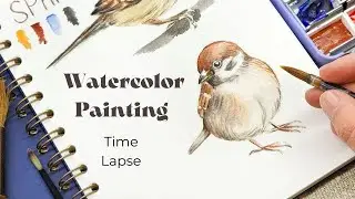 Realistic bird watercolor painting | Sparrow painting process | Easy sketch for beginners