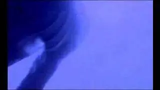 Antiloop - Believe
