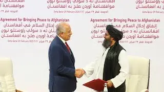 'We've done it before': Cooperation with Taliban to fight ISIS in US interests