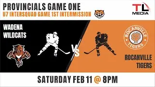 WADENA WILDCATS @ ROCANVILLE TIGERS FEB 11 @ 8PM