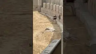 RE wall construction