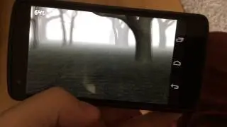Forrest Run - Android and IOS Game