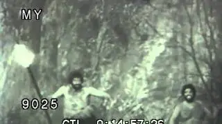 Cavemen Capture A Cavewoman, And Cavemen Thrown Off a Cliff